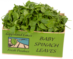 Bulmer Farms Spinach