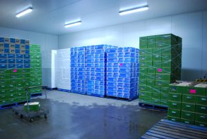 Bulmer Farms Cool Room Palletising Storage