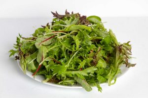 Bulmer Farms Salad Mix