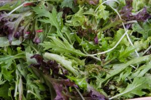 Bulmer Farms Baby Leaf Salad Mix