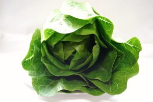 Bulmer Farms Cos Lettuce